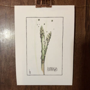 Seedling No. 1: Asparagus