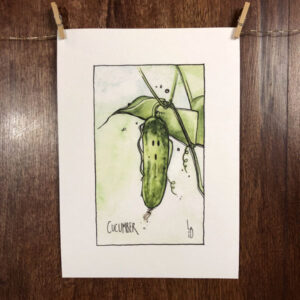 Seedling No. 6: Cucumber