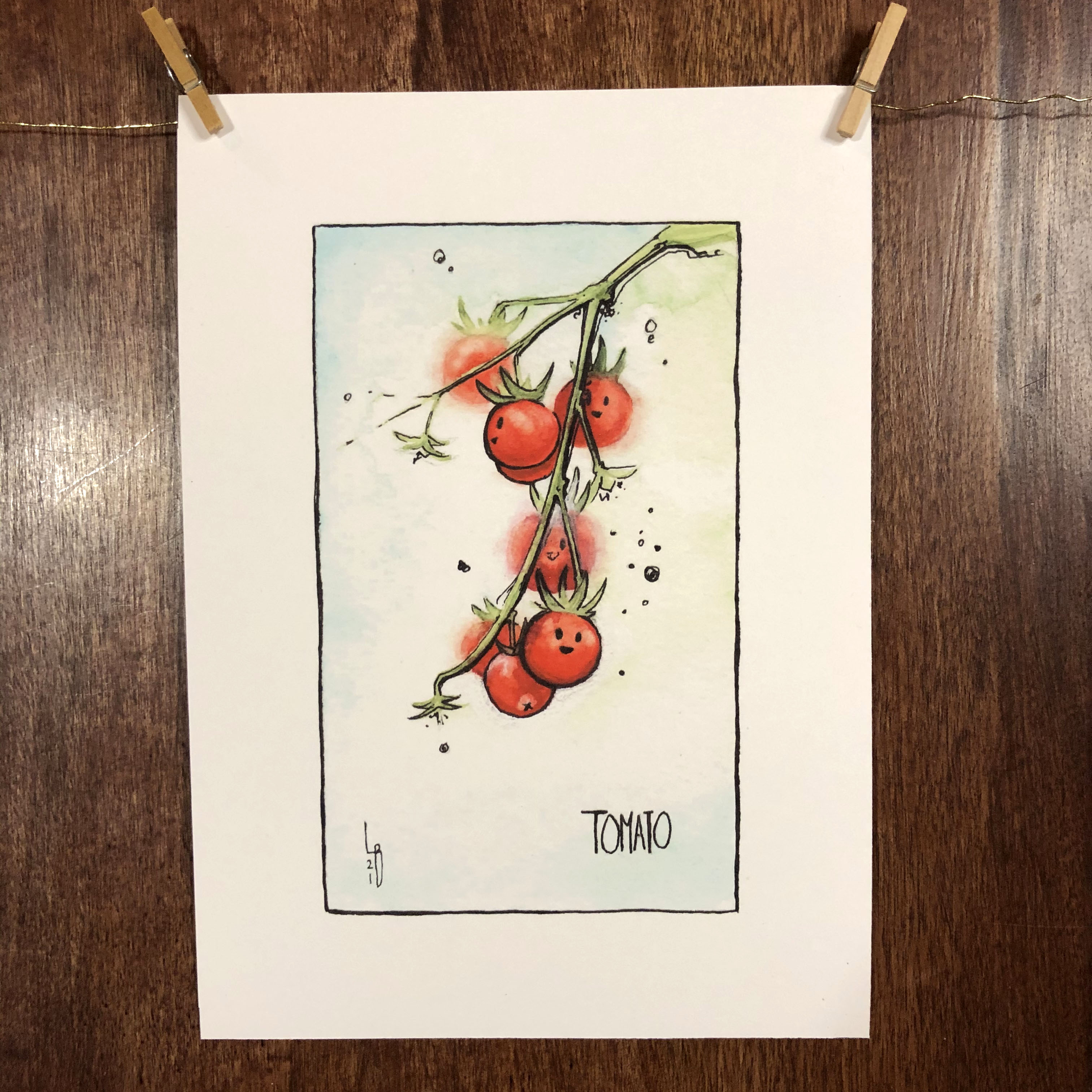 Seedling No. 5: Tomato