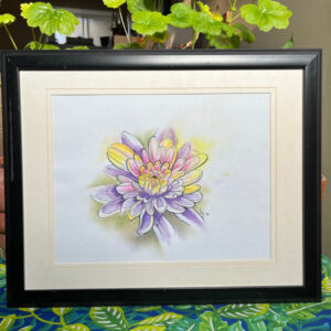Carnation Flower