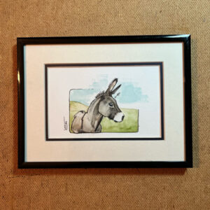 Don Donkey