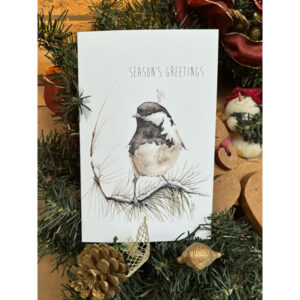 Season's Greetings - 2023 Christmas Card
